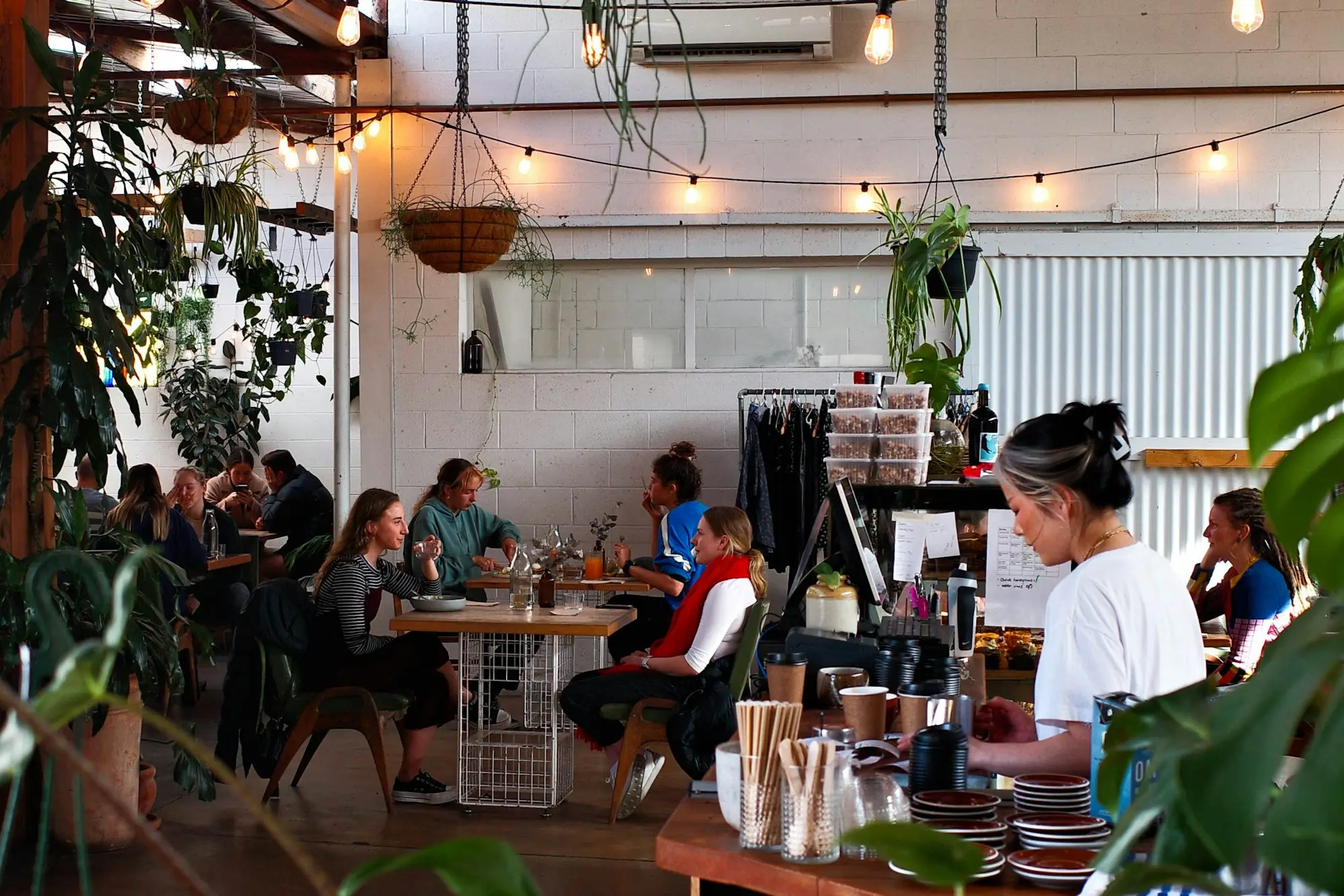 Owner reading market report cafe