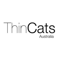 Read more about the article ThinCats Review for Potential Borrowers